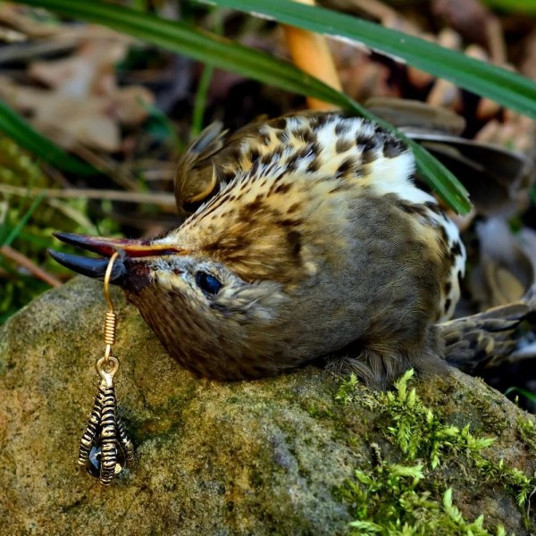 Ohrring "Vogelklaue"